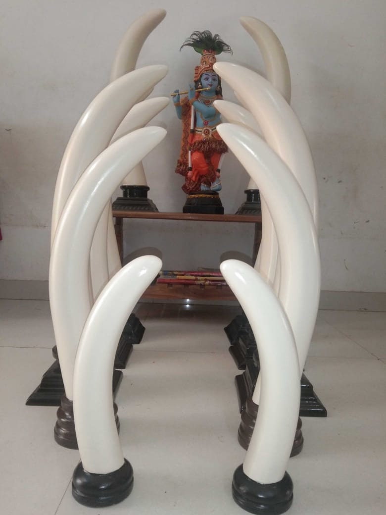 Fibre Elephant Tusk Pair, Ivory pair, Decorative Elephant Tusk,Kerala Art, Traditional Indian Home Decor, Showpiece